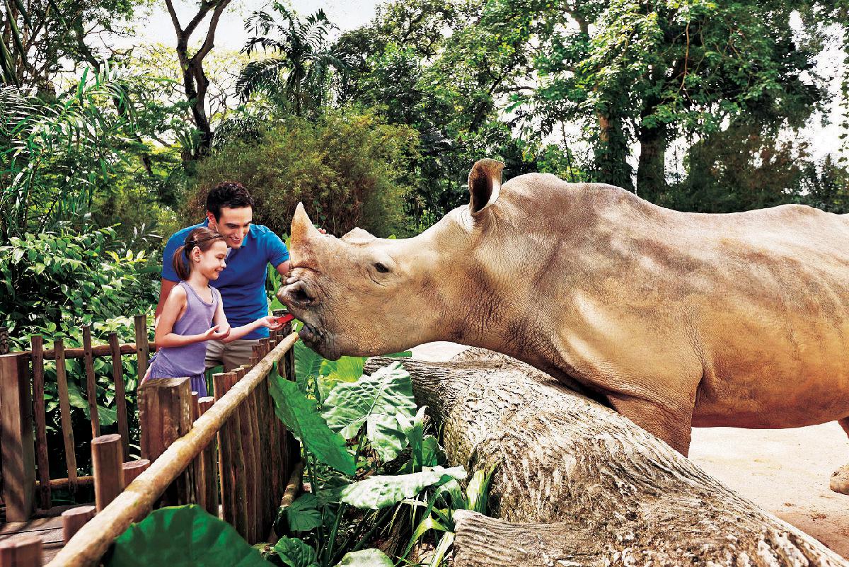シンガポール3大動物園の見どころを解説！世界規模を楽しもう
