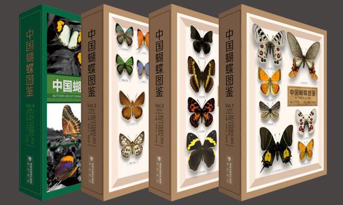 Butterflies_of_China1.jpg
