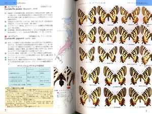 inomata002.jpg