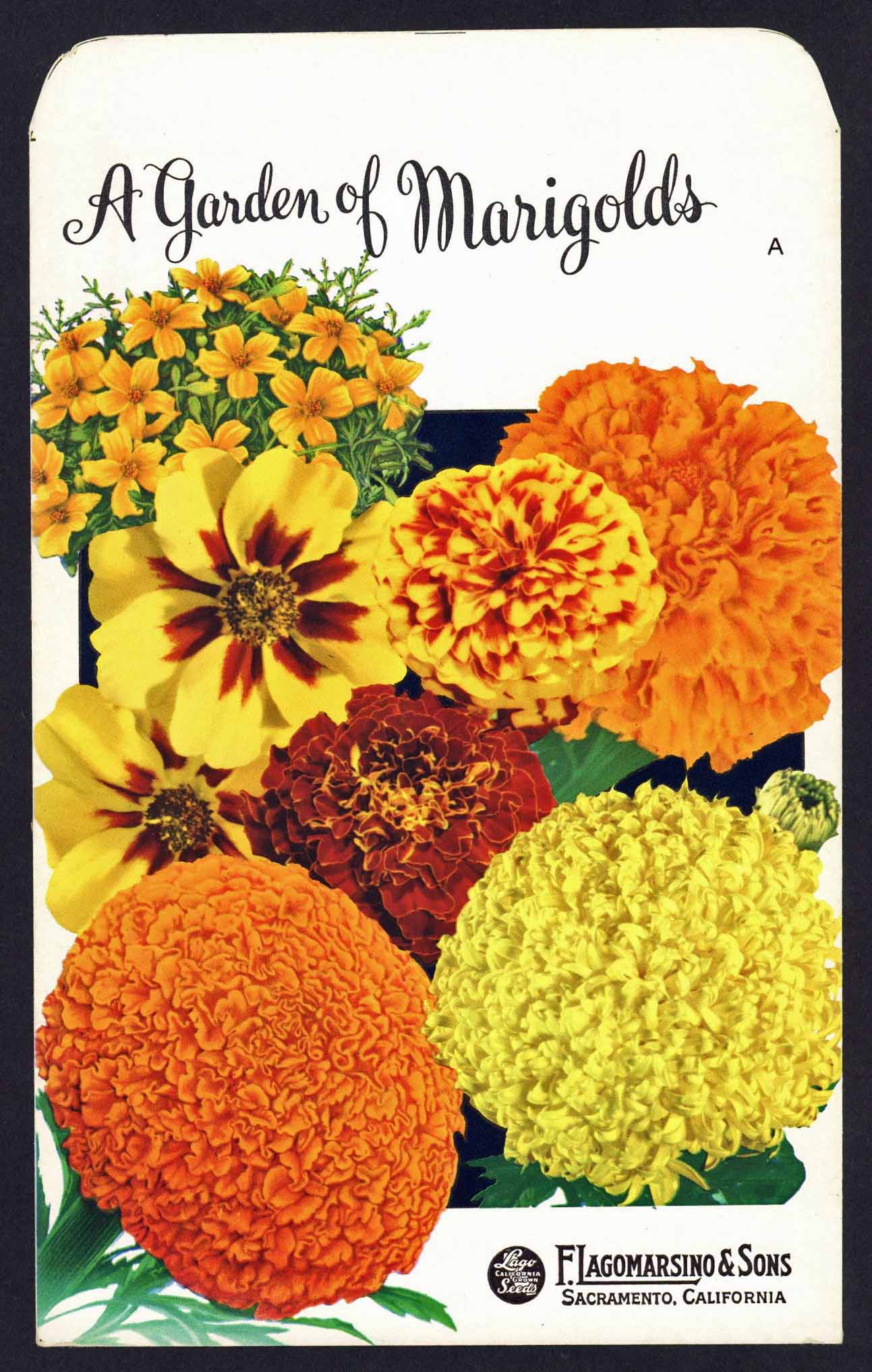 Vintage Seed Packets 1940-1980 – thelabelman