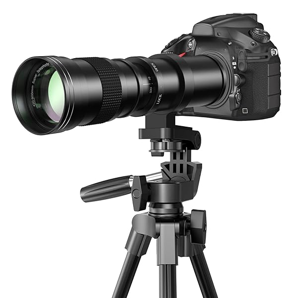 楽天市場】canon kiss x7 三脚の通販