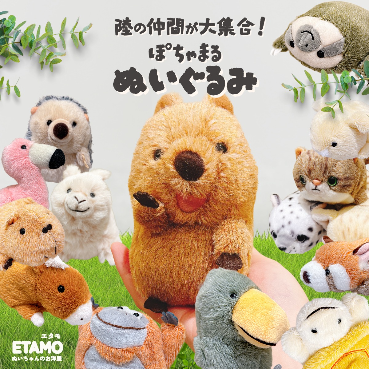 楽天市場】ぽちゃまる ぬいぐるみ 大陸散歩 クオッカ ハシビロコウ