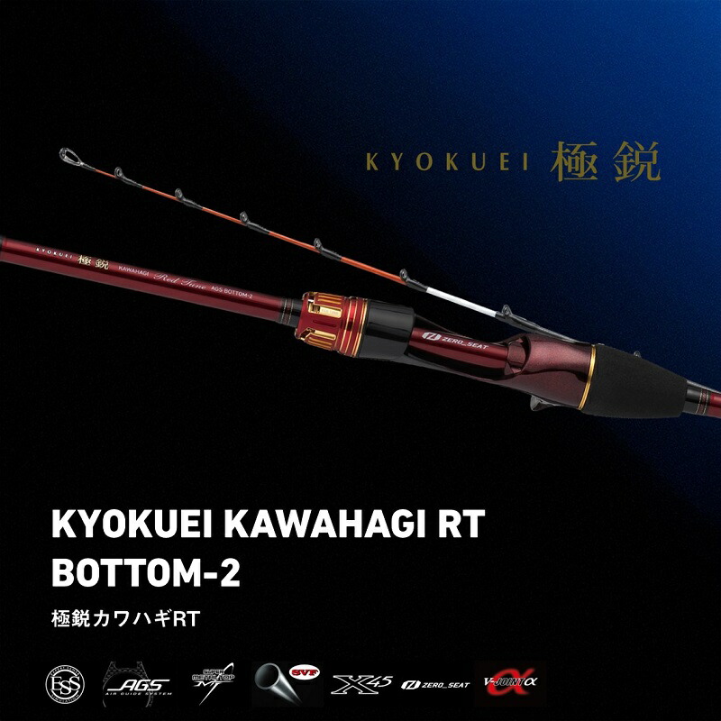 楽天市場】ダイワ 極鋭カワハギRT BOTTOM-2 : 釣具のFTO