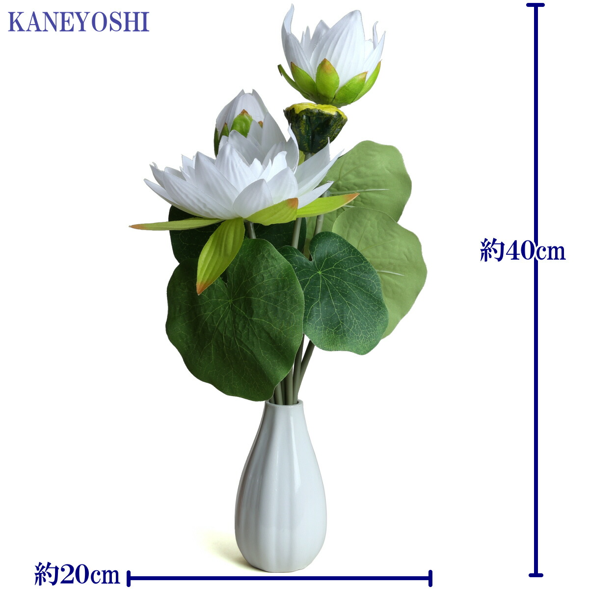 楽天市場】蓮の花 白 花台付 黒 花入 蓮 ハス ホワイト 花瓶 お彼岸
