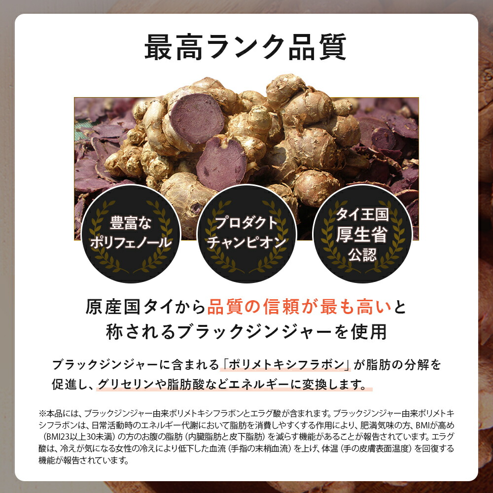 楽天市場】スリリン ファイア ( 1袋 90粒 ) 温活 脂肪燃焼 ダイエット