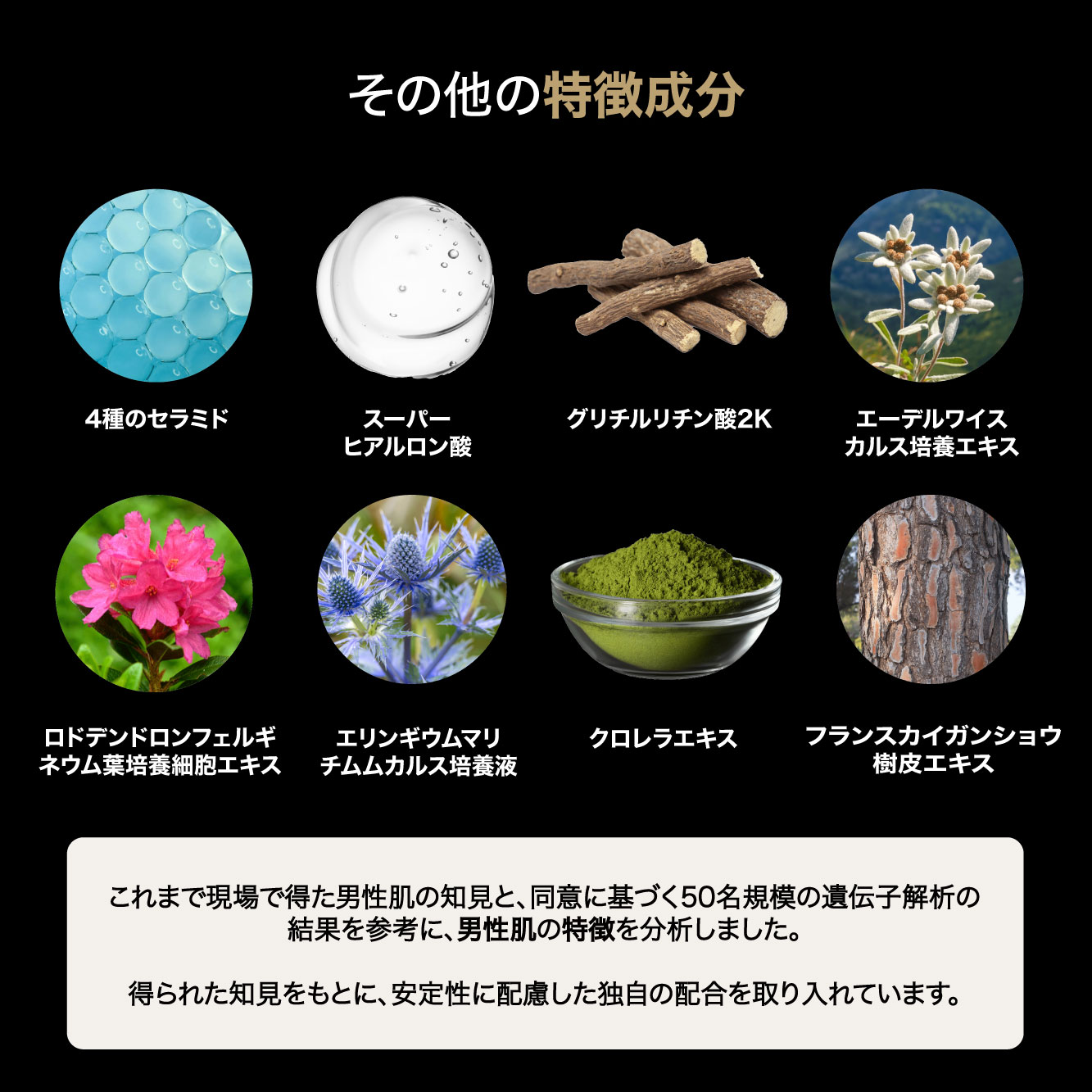 楽天市場】【公式】＼＼期間限定！税込3,000円以上でヘアシャンプー