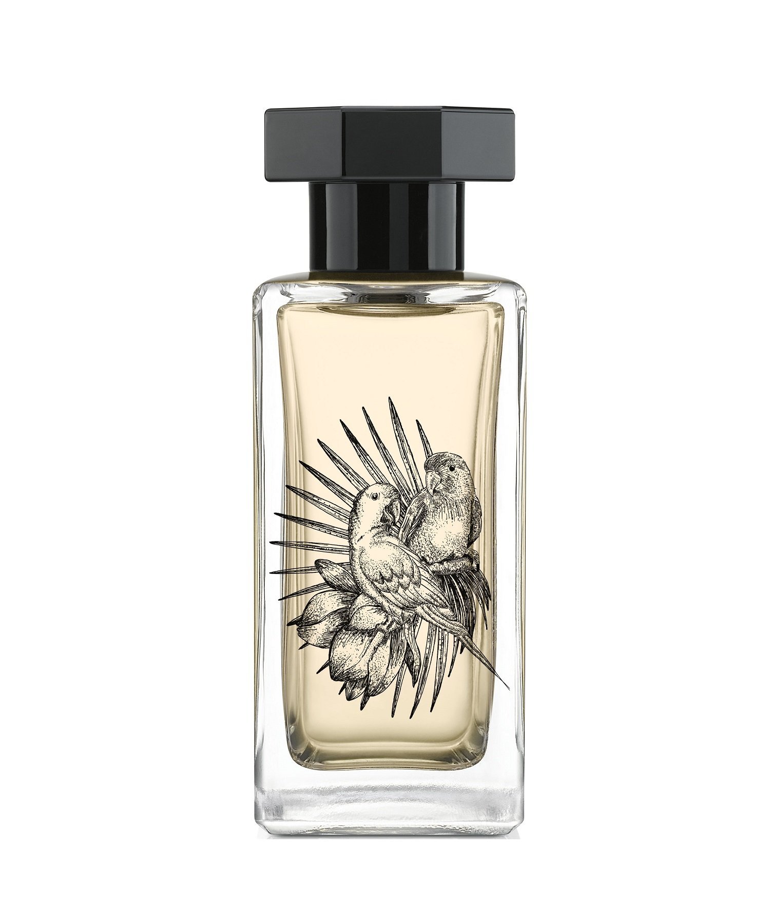 LE COUVENT MAISON DE PARFUM｜シンギュラー オーデパルファム アガピ