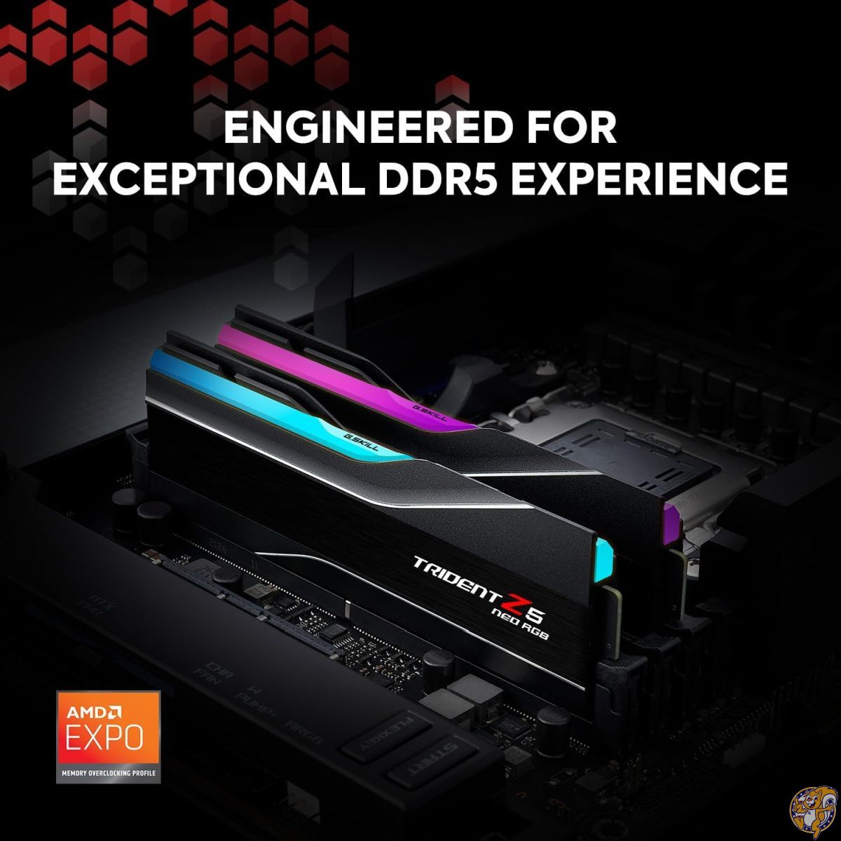 楽天市場】G.Skill Trident Z5 NEO RGBシリーズ (AMD Expo) 32GB (16GB