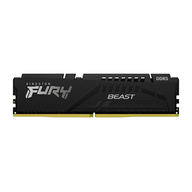楽天市場】【メーカー取り寄せ】キングストン FURY Beastシリーズ