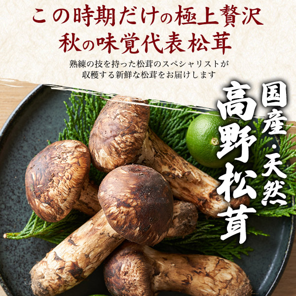 楽天市場】送料無料 天然国産 高野松茸 約200g 300g [ ツボミ 中ツボミ