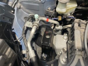 IMG_6633-300x225.jpeg