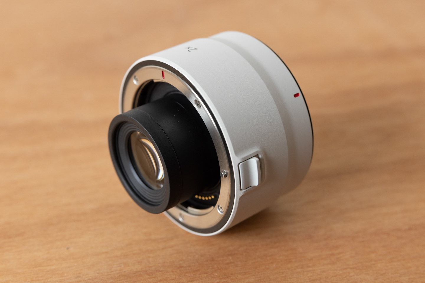 キヤノン RF800mm F11 IS STM レビュー｜超望遠で見える別世界 | ShaSha