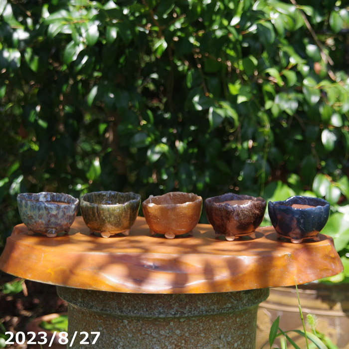 山野草の石田精華園 / アウトレット 萬古焼 植木鉢 竹鳳作 手びねり