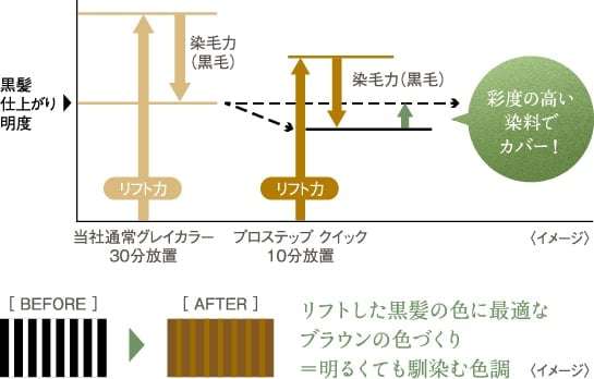 プロステップ クイック グレイカラー | 商品情報 | ホーユー