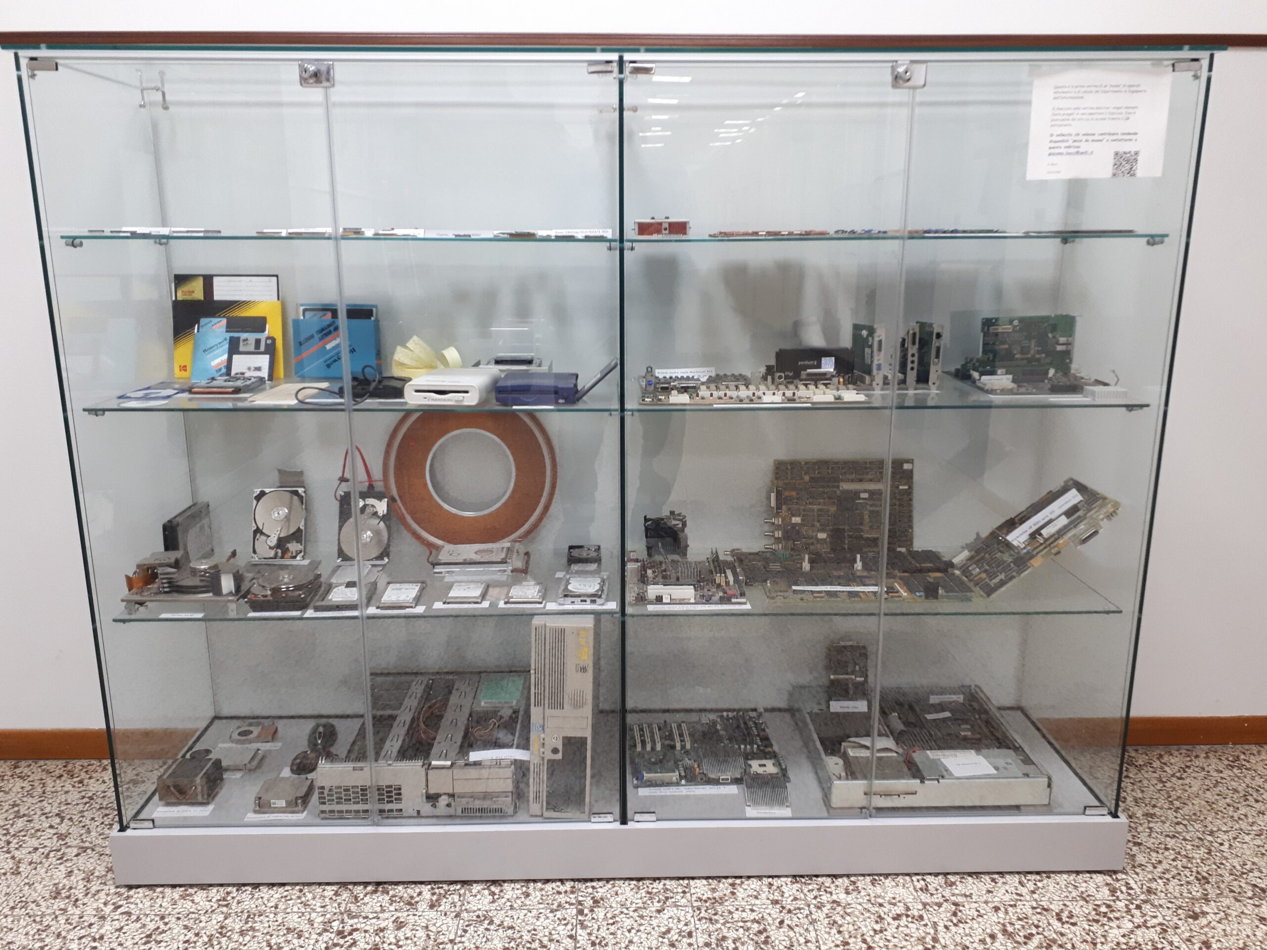 An Educational Exhibit Aimed at Demonstrating the Rate of Growth