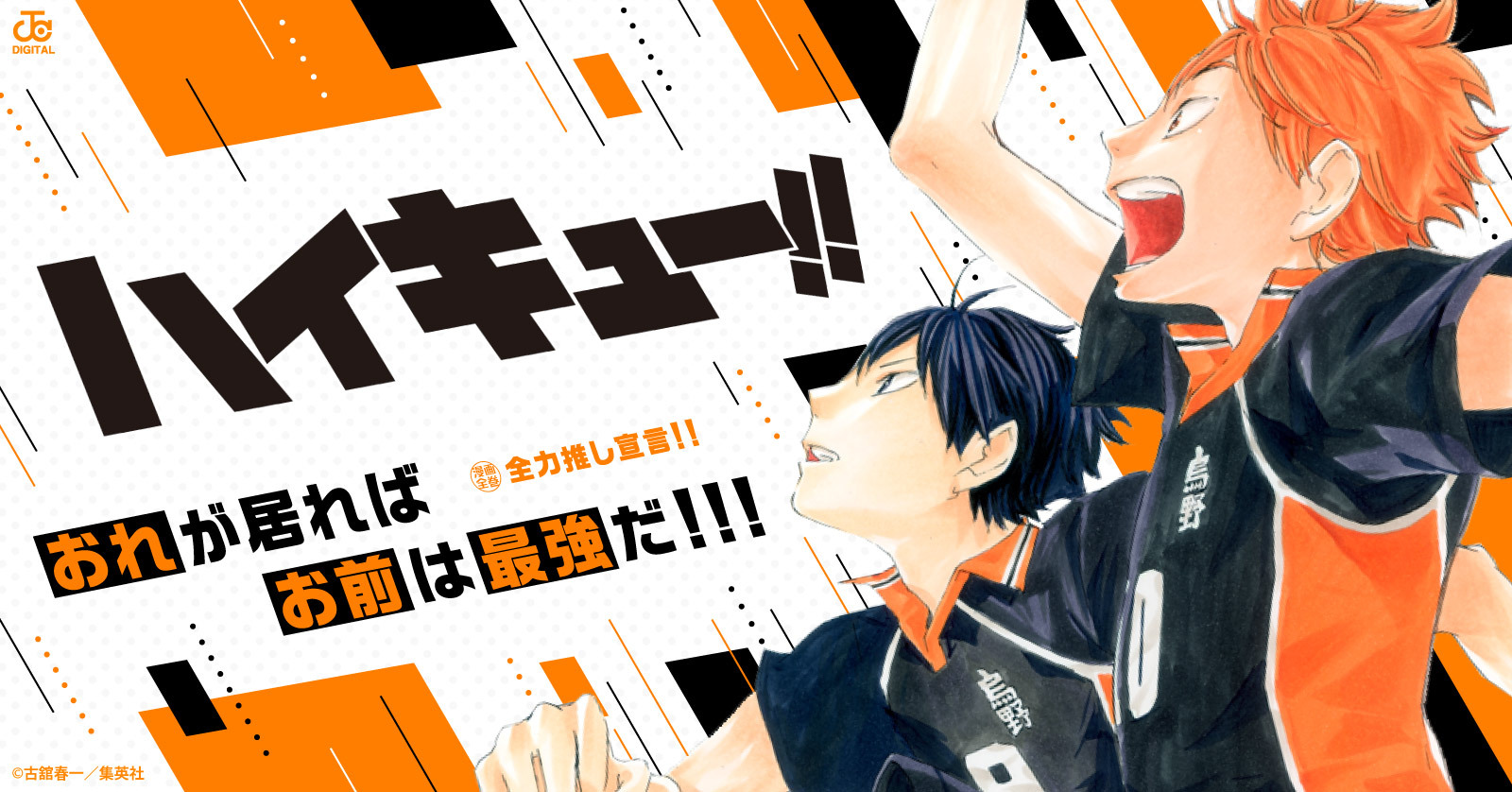 ハイキュー！！ 33 | 漫画全巻ドットコム