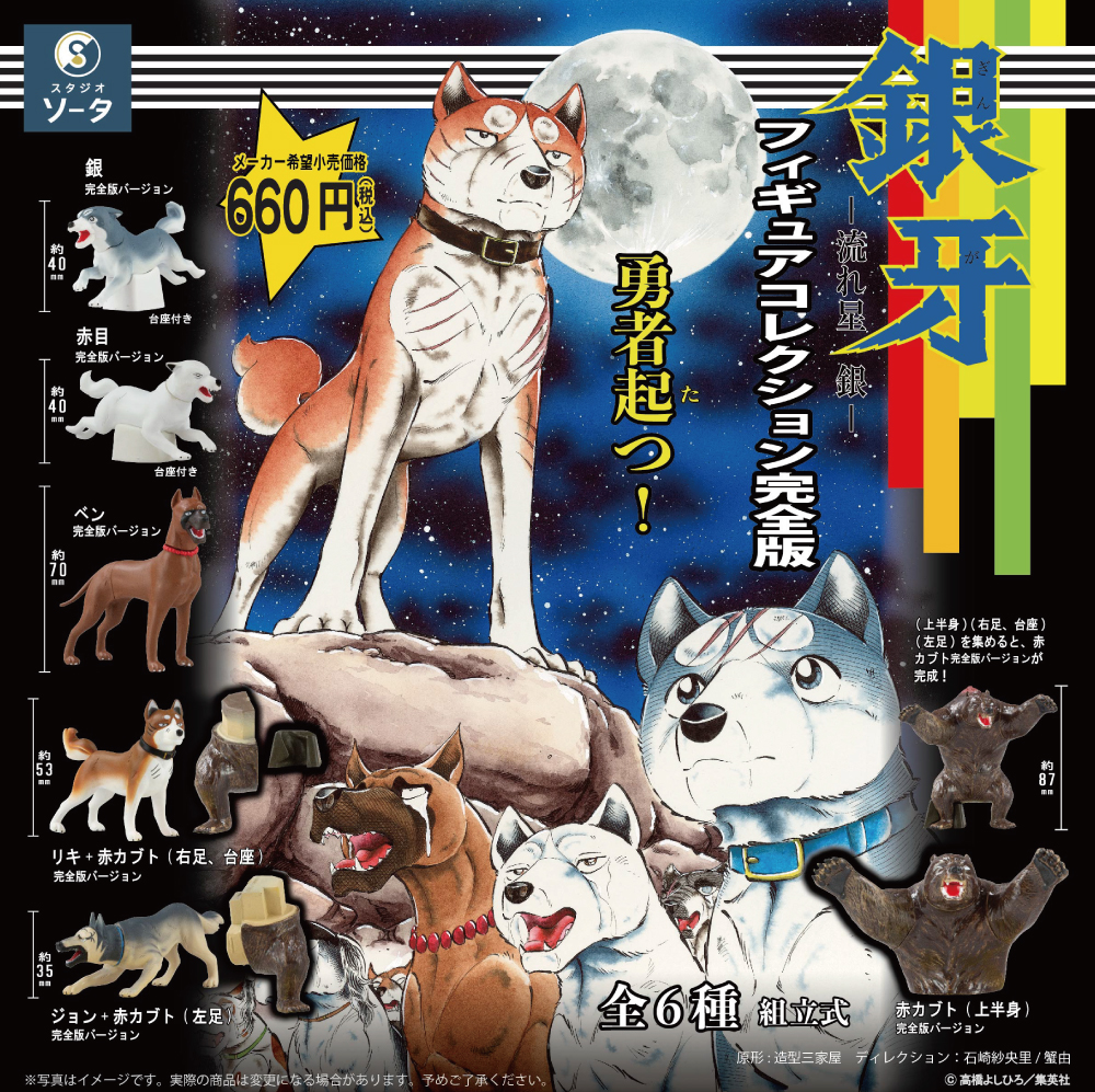 img_gin_kanzenban.jpg