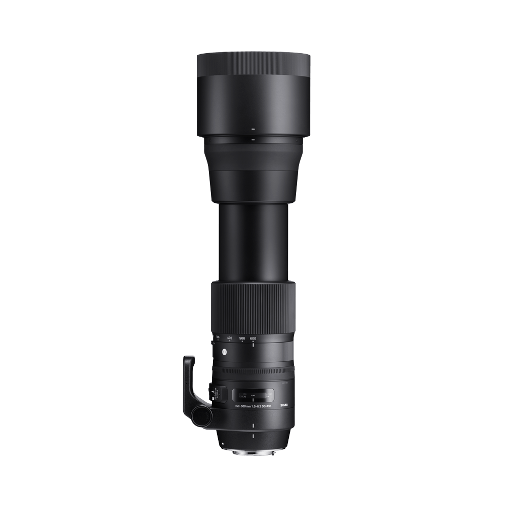 150-600mm F5-6.3 DG OS HSM | レンズ | Sigma