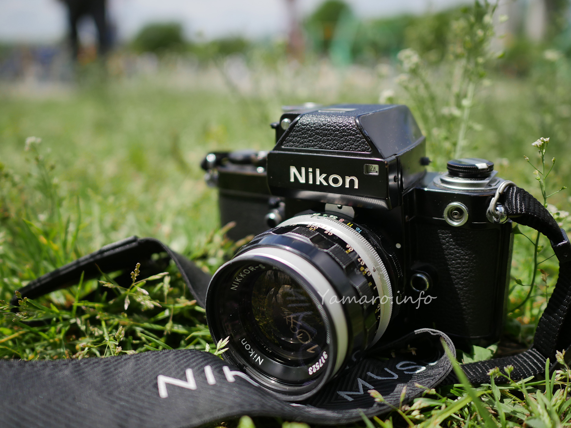 Nikon F2フォトミック アーカイブ - Blog@yamaro.info