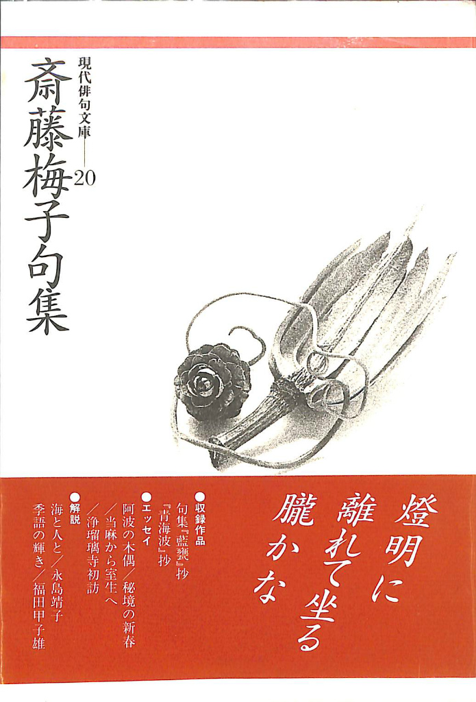 幻想旅行記 - グランド・ガラバーニューの旅』 ＊アンリ・ミショー