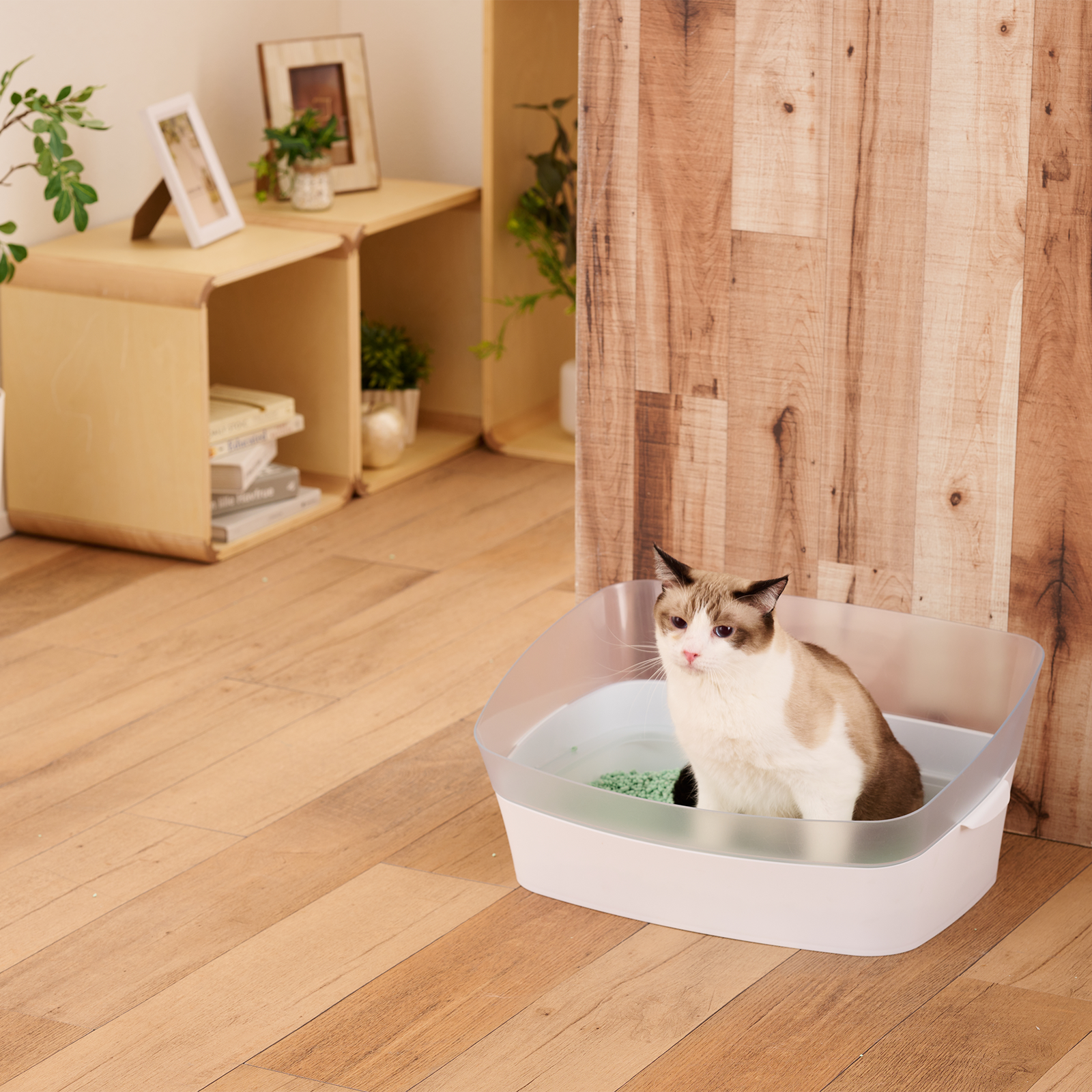 ボンビアルコン オンラインショップ / お茶で消臭する猫砂6リットル