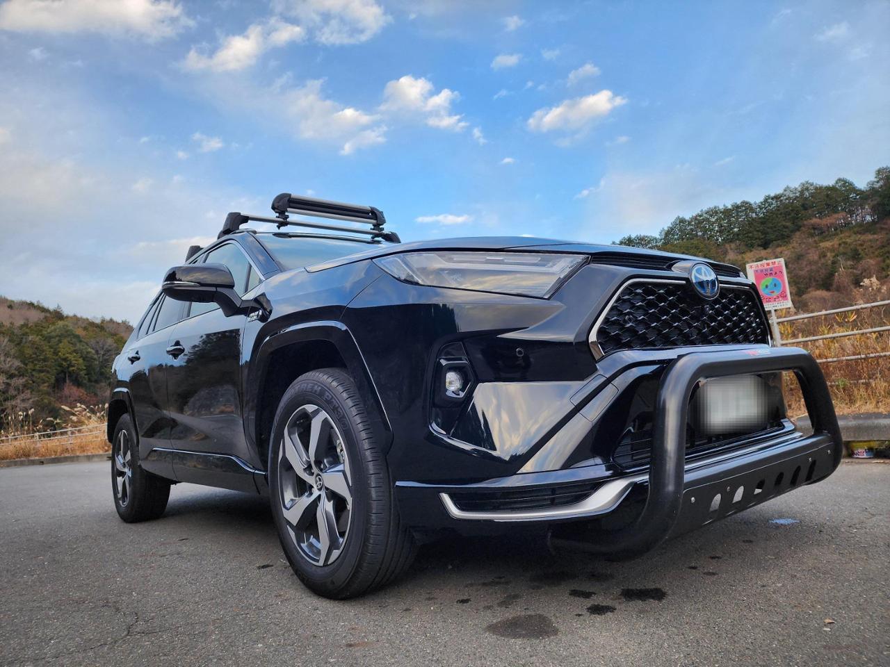 NexusJapan 新型RAV4 50系 パーツ NEW ブルバー ショートタイプ グリル