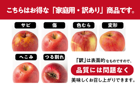 感謝りんご / 光センサー選別品 】 りんご サンふじ 訳あり 10kg （ 24
