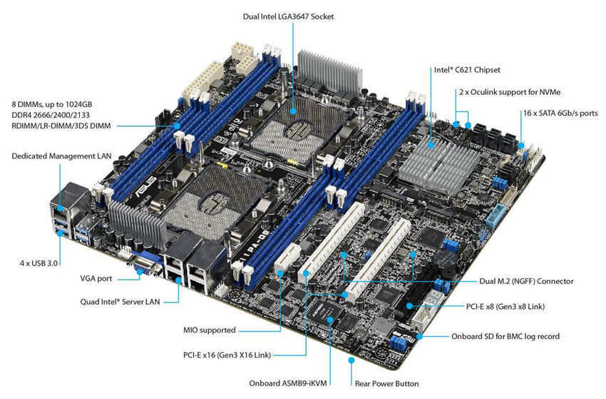 Z11PA-D8 | ASUS Servers