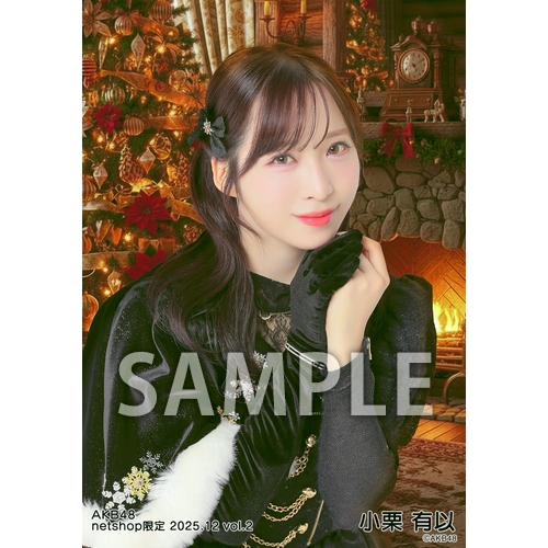 予約商品】AKB48 2025年12月度 net shop限定個別生写真5枚セットvol.2