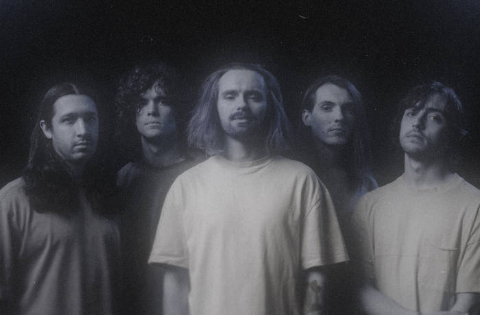 Greyview | Invent Animate
