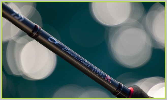 DAIWA Emeraldas Stoist RT IL (Interline model) 84MLM Rods buy at