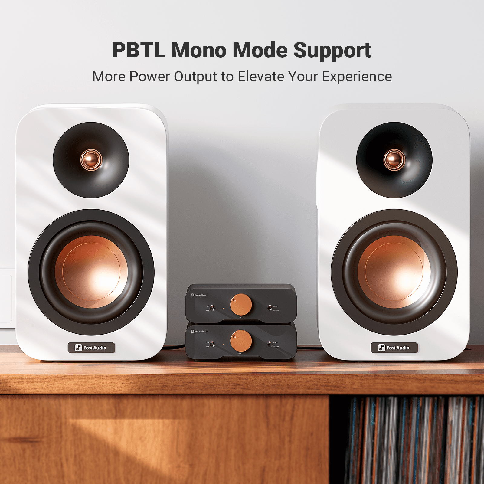Fosi Audio ZA3 Balanced Stereo Amplifier Mono Amp