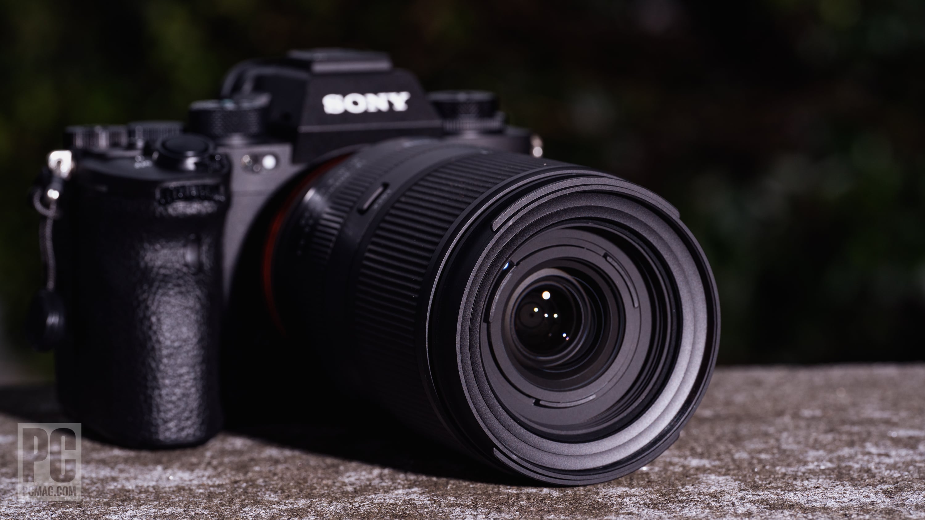 Tamron 18-300mm F3.5-6.3 Di III-A VC VXD Review | PCMag