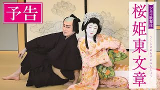 シネマ歌舞伎『桜姫東文章 上の巻／下の巻』予告 - YouTube