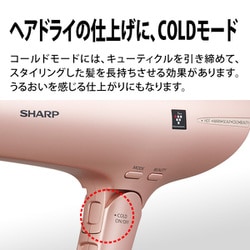 ヨドバシ.com - シャープ SHARP プラズマクラスタードライヤー beaute