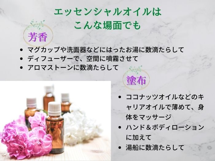 楽天市場】ドテラ アスリートキット ディープブルーラブ
