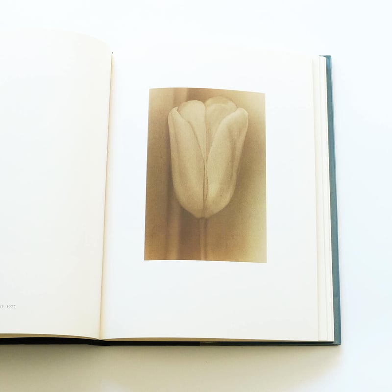Sheila Metzner: Color | Book Ernest
