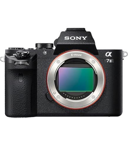 Amazon | 【整備済み品】 ソニー SONY ミラーレス一眼 α6600 ボディ