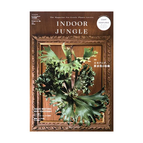 INDOOR JUNGLE インドアジャングル2025 No.6 書籍 | チャーム