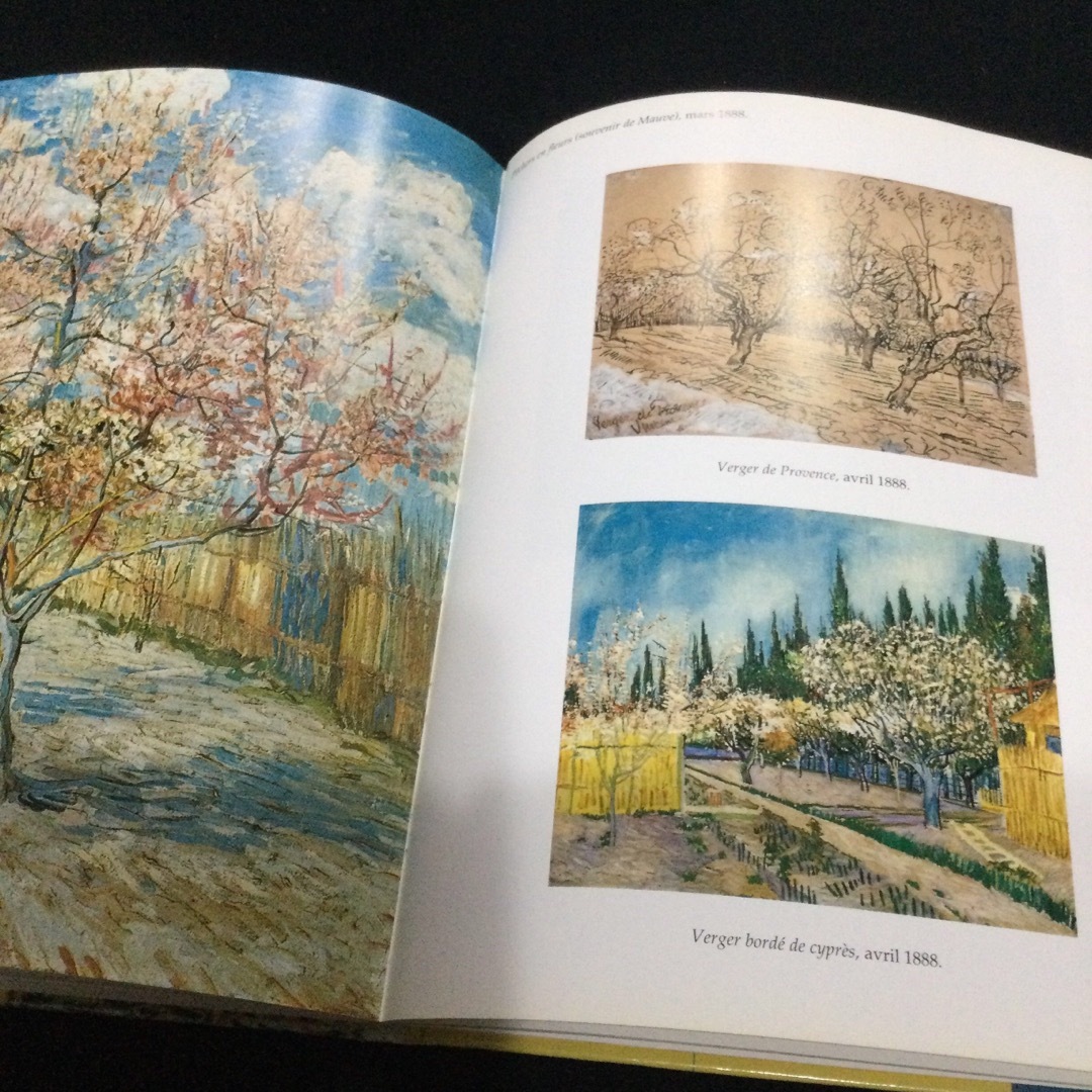CD-ROM付 ゴッホ 作品集 画集 フランス語 Van Gogh 洋書の通販 by