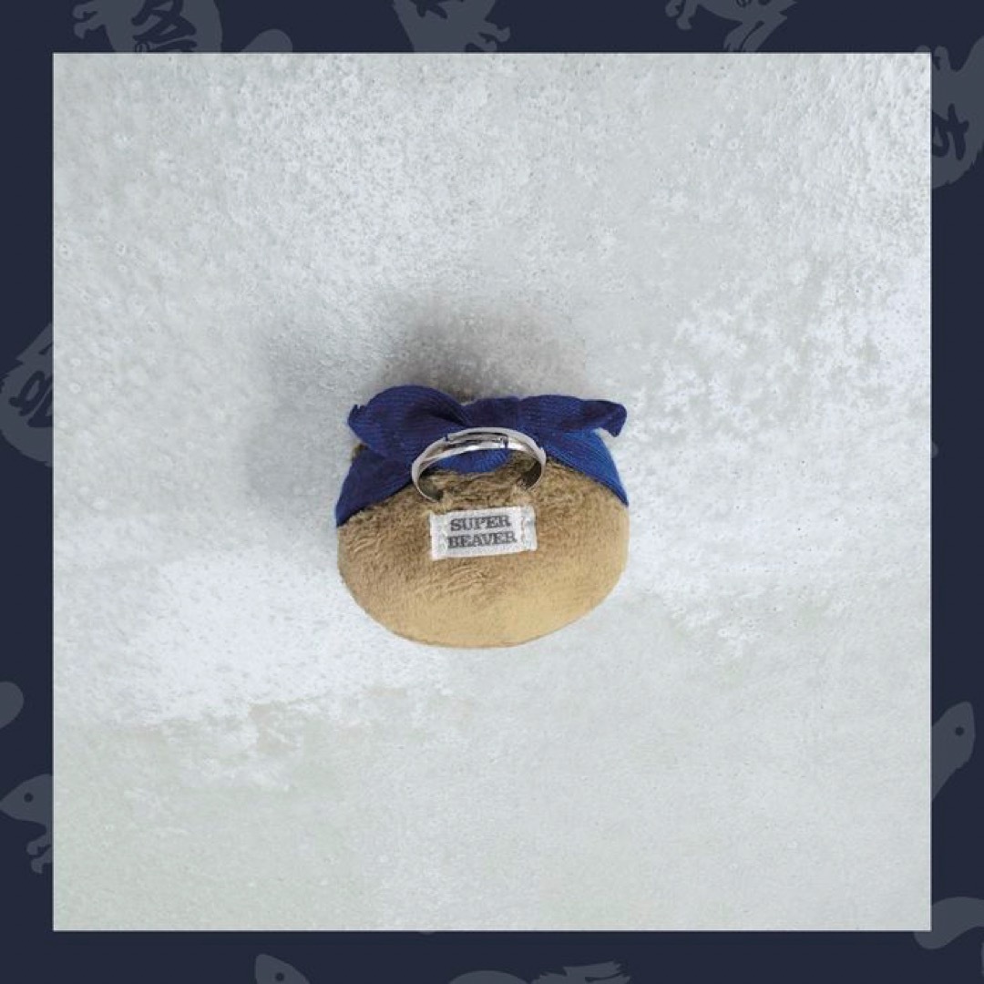 SUPER BEAVER グッズセットの通販 by eri.'s shop｜ラクマ