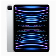 Apple iPad Pro 12.9インチ 第6世代 Wi-Fi 128GB 2022年秋モデル