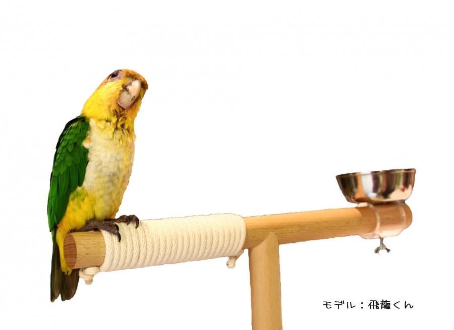 LITTLE BUDDYオリジナル◇T型スタンド止まり木 - とりまに☆鳥さん用品