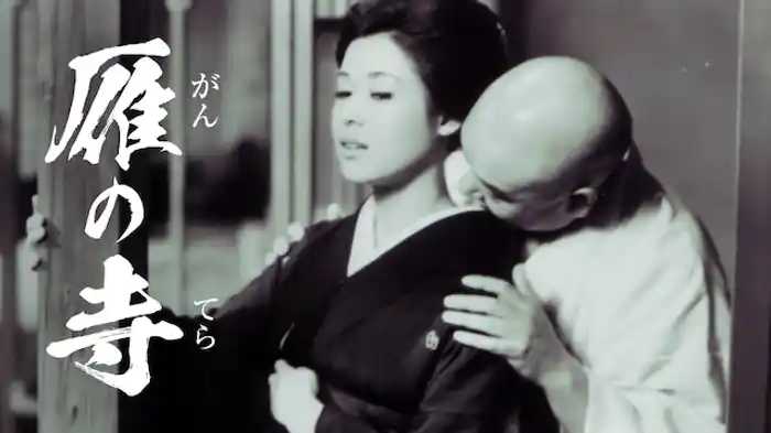 白蛇抄(邦画 / 1983) - 動画配信 | U-NEXT 31日間無料トライアル