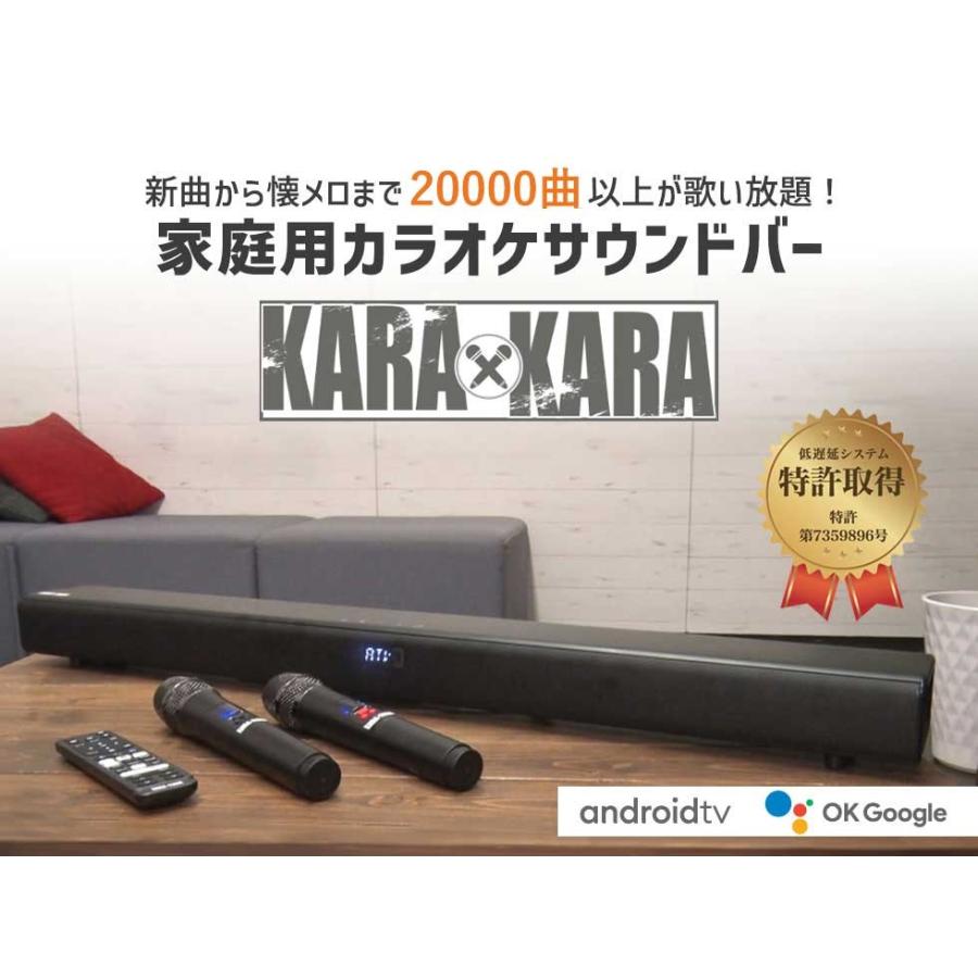 共同テレビジョン KARAxKARA（カラカラ）カラオケサウンドバー 家庭用