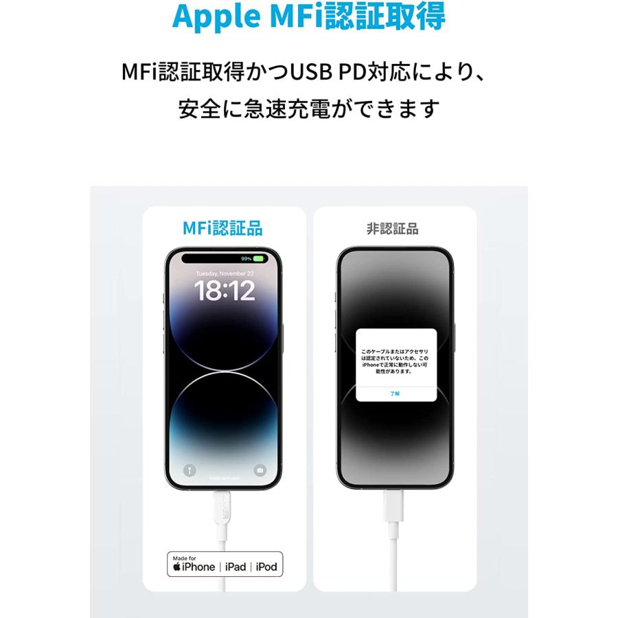 Anker（アンカー） Anker 310 USB-C & ライトニング ケーブル MFi認証