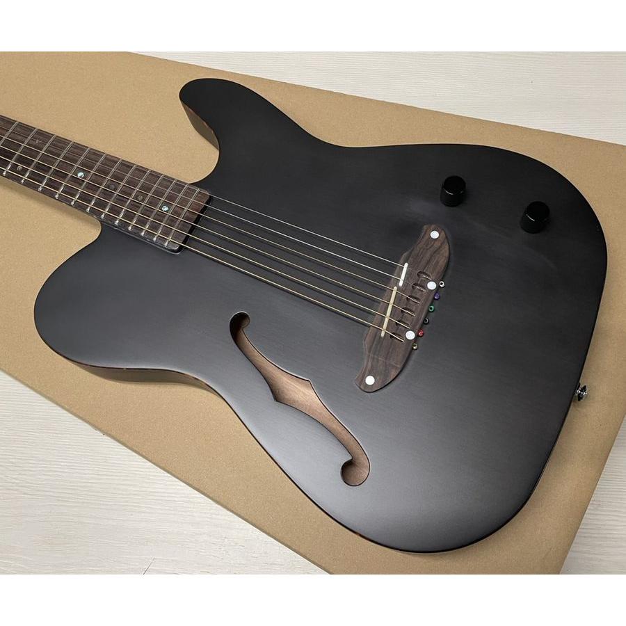 SCHECTER SCHECTER OL-FL-P STBK シェクター Fホール 薄胴 エレアコ