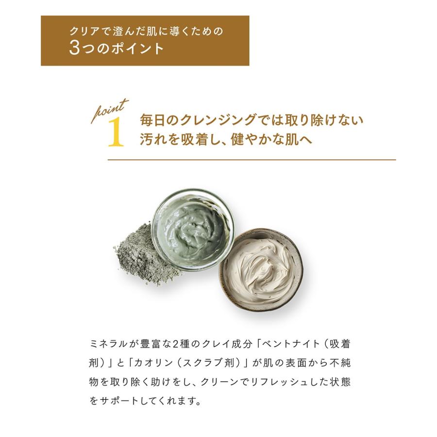 SPICARE V3 【公式】SPICARE VSPIC C クレイパック 正規 : BJC公式