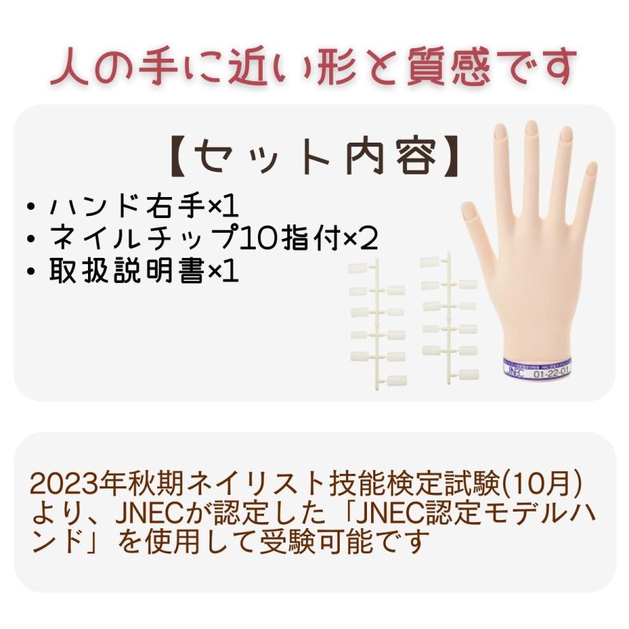 JNEC認定モデルハンド STモデルハンド 楽天市場】JNEC認定 STモデル