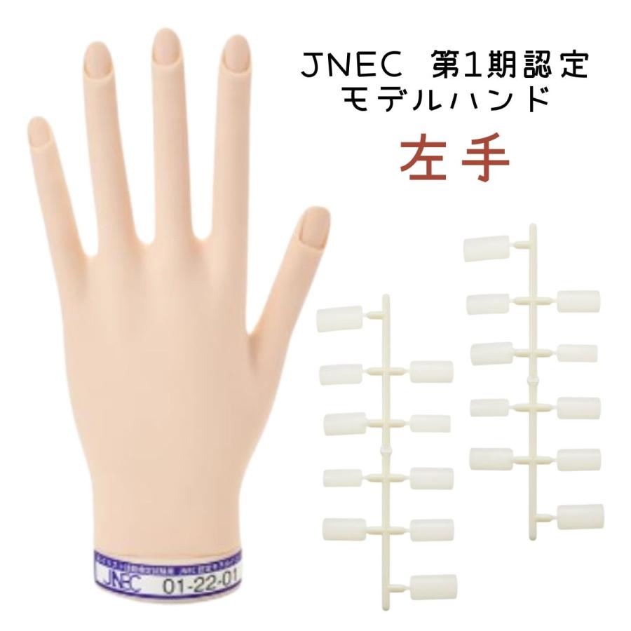 ネイリスト技能検定試験用 JNEC認定モデルハンド/チップセット/検定用